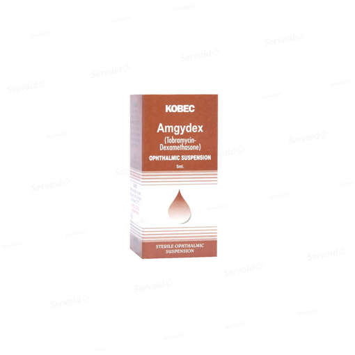 Picture of Amgydex Eye Ointment